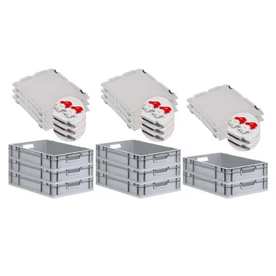 Proregal Eurobox Rot 40x12x60 cm
