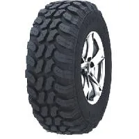 Radial M/T SL366 owl