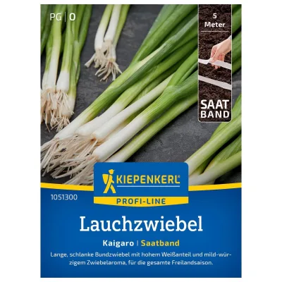 Saatband, Lauchzwiebel 'Kaigaro'