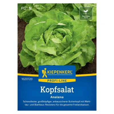 Saatgut, Kopfsalat 'Analena'