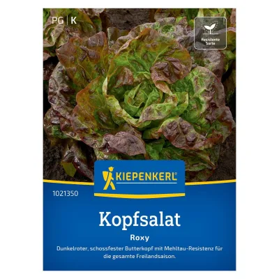 Saatgut, Kopfsalat 'Roxy'