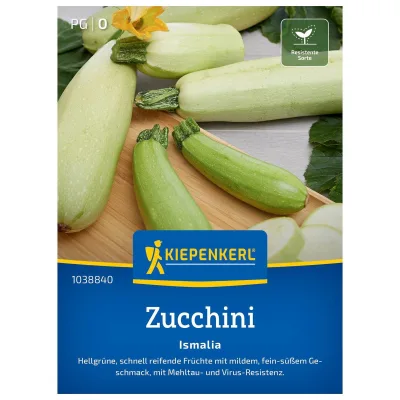 Saatgut Zucchini 'Ismalia'