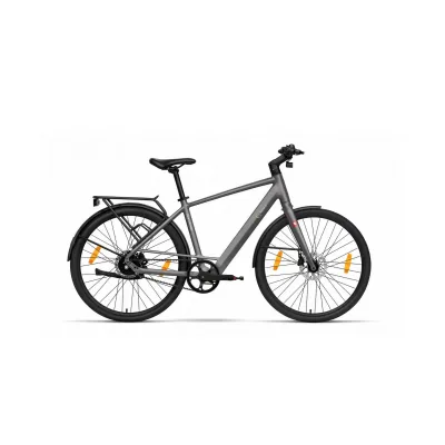 SachsenRAD Urban City E-Bike C3M Roma II mit Riemenantrieb Grau