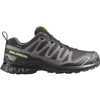 Salomon XA PRO 3D V9 GTX, Trailschuhe, Herren, schwarz/grün