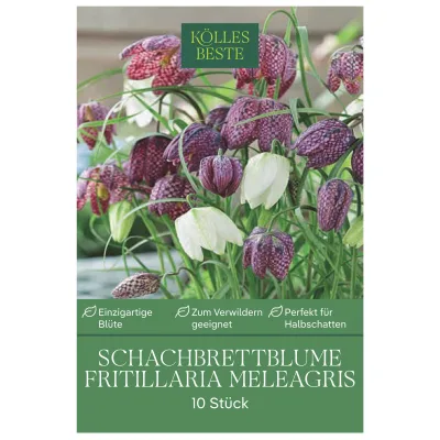 Schachbrettblume (Fritillaria Meleagris) lila/weiß, 10 Blumenzwiebeln