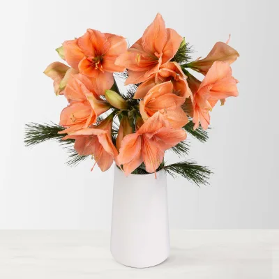 Schnittblumen-Mix aus 3 lachsfarbenen Amaryllis & 3 Seidenkiefer