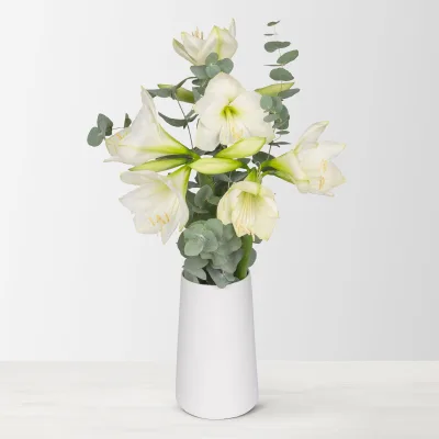 Schnittblumen-Mix aus 3 weißen Amaryllis & 3 Eukalyptus