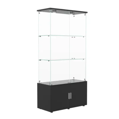 Shopentra Vitrinenschrank Schwarz 35x164x78.51 cm