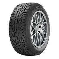 Snow 225/55 R17 101V