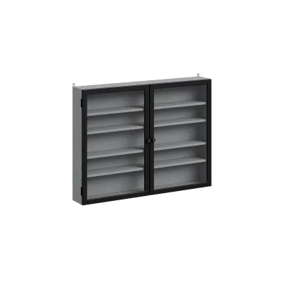 SoBuy Wandvitrine mit 2 Türen Grau 80x12,2x60cm Modern
