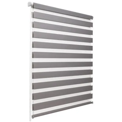 Sol Royal Doppelrollo Grau 55x150 cm