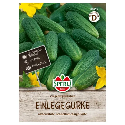 Sperli Saatgut Einlegegurke 'Vorgebirgstrauben', grün