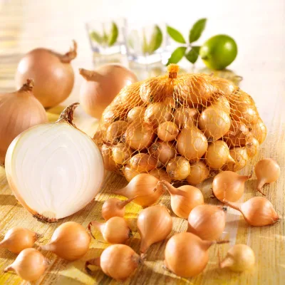 Sperli Steckzwiebeln 'Senshyu Yellow®', gelb, 250 g