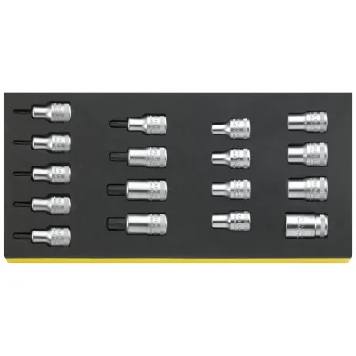 Stahlwille Satz Steckschlüsseleinsätze i.TCS TCS 50TX/54TX/17 TORX 17 tlg.