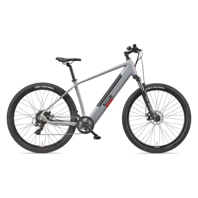 TELEFUNKEN M921 E-MTB 29" aluminiumgrau