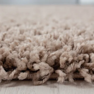 Teppich Hochflor RHEIN in Beige, einfarbig, 120 x 170 cm