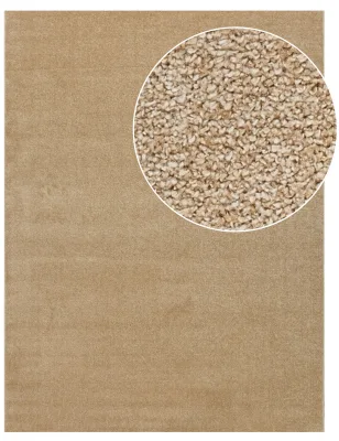 Teppich Portivo gold 80x150 cm