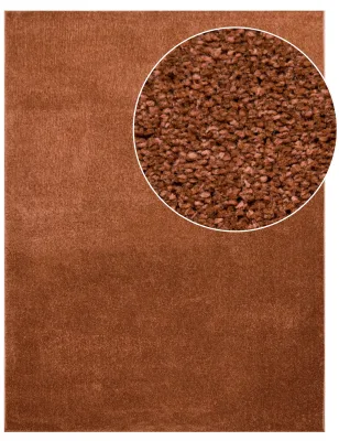Teppich Portivo kupfer 160x220 cm