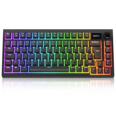 Titanwolf Gaming-Tastatur, ALPHA Gaming Tastatur TKL, 82 Tasten mechanisch, TFT-Display, RGB, schwarz