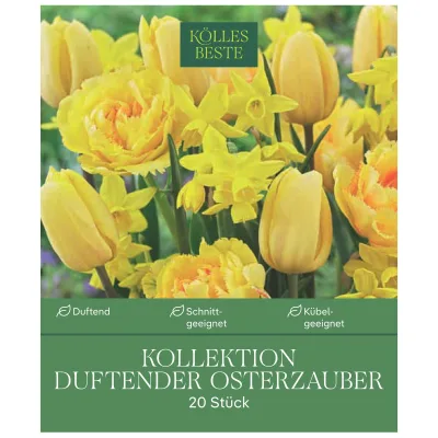 Tulpen & Narzissen Mischung 'Osterzauber-Duftmischung', 20 Blumenzwiebeln