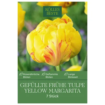 Tulpen 'Yellow/Margarita', Gelb, 7 Blumenzwiebeln, Größe 11/12