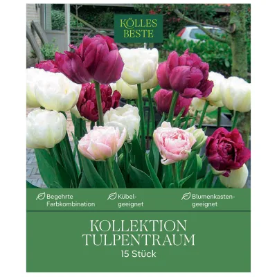 Tulpenkollektion 'Tulpentraum', rosa, weiß, lila, Größe 12+, 15 Blumenzwiebeln