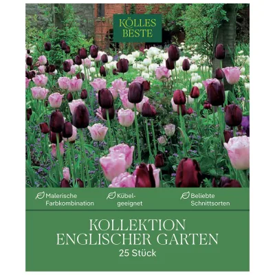 Tulpenmischung 'Englischer Garten', weiß, Größe 12+, 25 Blumenzwiebeln