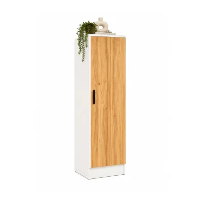 Mid.you Aktenschrank Anthrazit, Honigeiche 38x114x32 cm