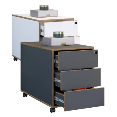 P & B Rollcontainer Anthrazit, Honigeiche 42x50x70 cm