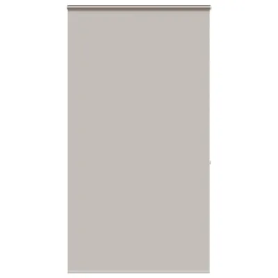vidaXL Rollo Hellgrau 120x240 cm