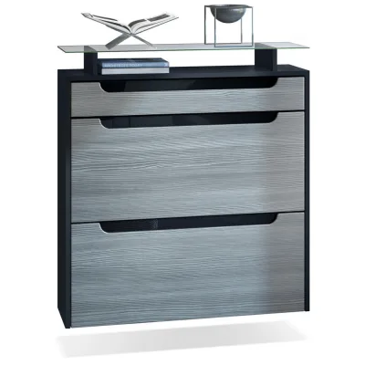 Vladon Schuhschrank Anthrazit, Schwarz Hochglanz 89x96x23 cm