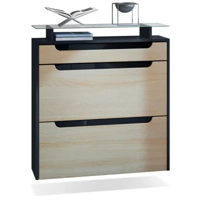Vladon Schuhschrank Eiche San Remo, Schwarz Hochglanz 89x96x23 cm