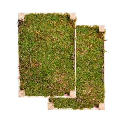 Waldmoos in der Holzkiste, ca. 39 x 26 x 8 cm, 2 Stück