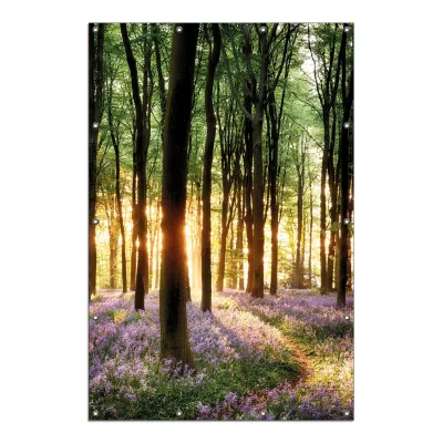 Wallario Gartenposter ca. 180 x 180cm, 2-teilig Blaue Hasenglöckchen im Wald mit Sonnenstrahlen