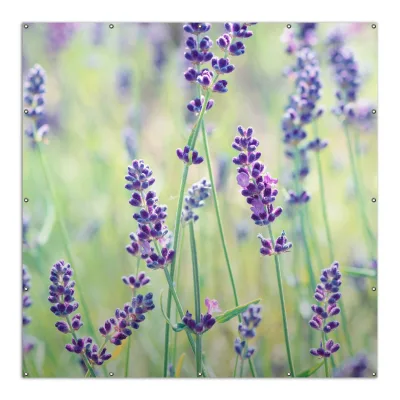 Wallario Gartenposter ca. 60 x 90 cm Lila Blumenfreude - Violette Pflanzen auf der Wiese