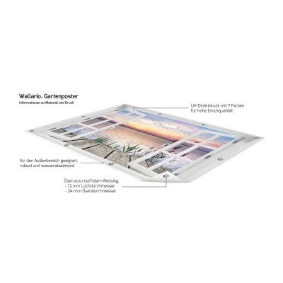Wallario Gartenposter ca. 60 x 90 cm mit Fenster-Illusion Seepanorama mit Schilf und fliegenden Vögeln