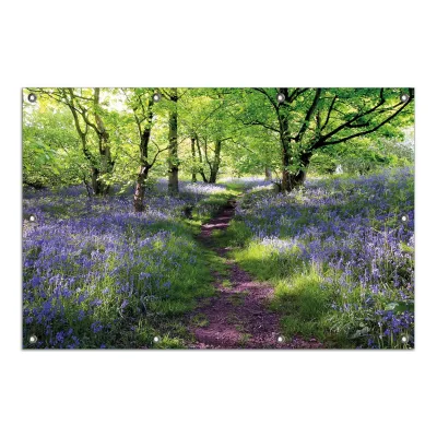 Wallario Gartenposter ca. 80 x 120 cm Blaues Hasenglöckchen im Wald