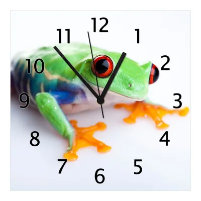 Wallario Uhr 30 x 30 cm, schwarze Zeiger Lustiger Frosch in grün und orange