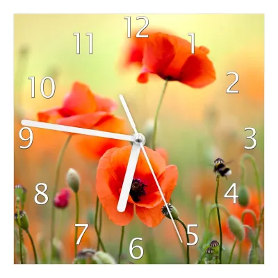 Wallario Uhr 30 x 30 cm, weiße Zeiger Mohnblumenblüten