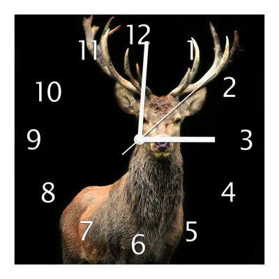 Wallario Uhr 30 x 30 cm, weiße Zeiger Stattlicher Rothirsch