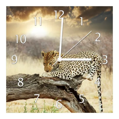 Wallario Uhr 30 x 60 cm, schwarze Zeiger Leopard auf Baumstamm in Afrika
