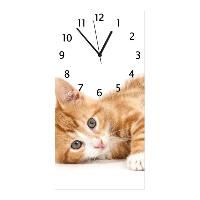 Wallario Uhr 30 x 60 cm, schwarze Zeiger Süße Katze mit großen Augen - rot weiß getigert