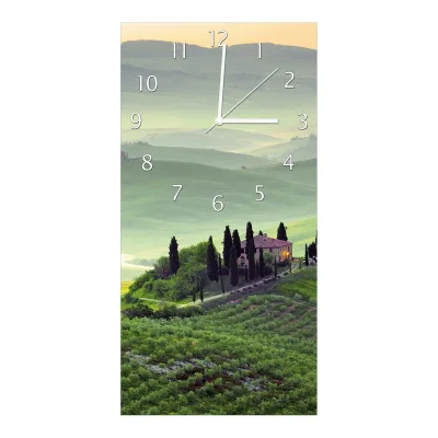 Wallario Uhr 30 x 60 cm, schwarze Zeiger Toskana in Italien
