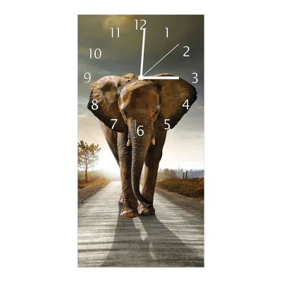 Wallario Uhr 30 x 60 cm, weiße Zeiger Elefant bei Sonnenaufgang in Afrika