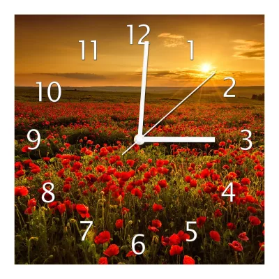 Wallario Uhr 30 x 60 cm, weiße Zeiger Mohnblumenwiese bei Sonnenuntergang am Abend