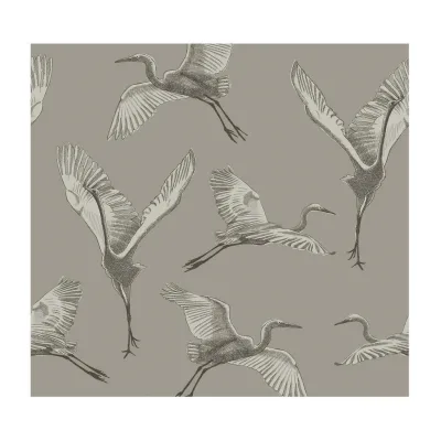 Walldoctor Fototapete Beige 300x280 cm