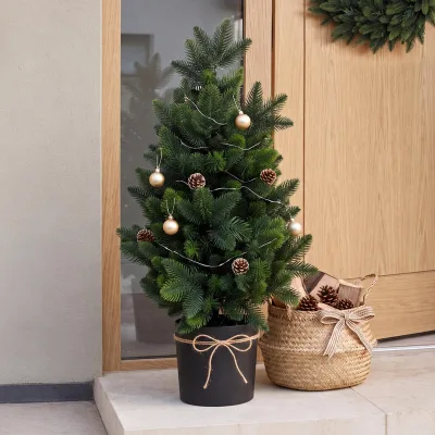 Weihnachtsbaum MCW-R29, Dekobaum Kunstbaum Kunstpflanze künstliche Tanne, Outdoor Polyethylen, 55cm