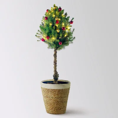 Weihnachtsbäumchen auf Stamm inkl. Deko, rot-gold, Topf-Ø 23 cm, Höhe ca. 85 cm