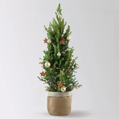 Weihnachtsbäumchen inkl. Deko, champagner-gold, Höhe ca. 50 cm, Topf-Ø 23 cm