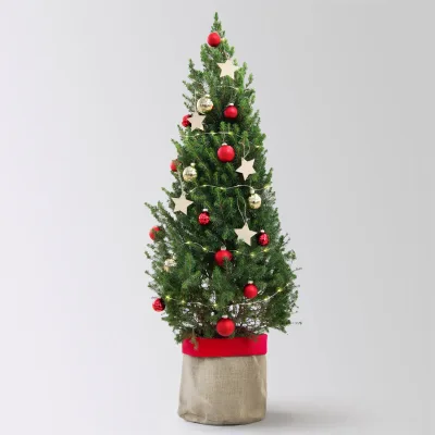 Weihnachtsbäumchen inkl. Deko, rot-gold, Höhe 120 cm, Topf-Ø 26 cm